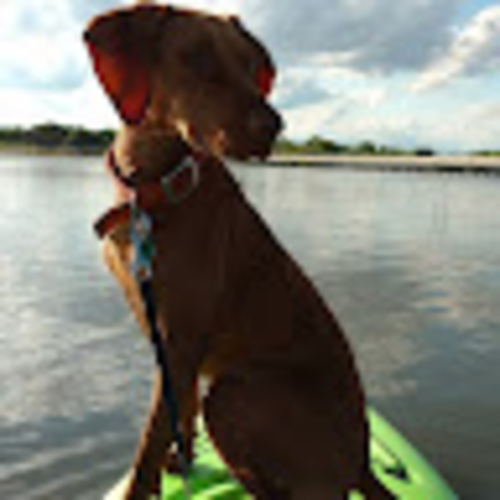 Meet your Posher, Dana